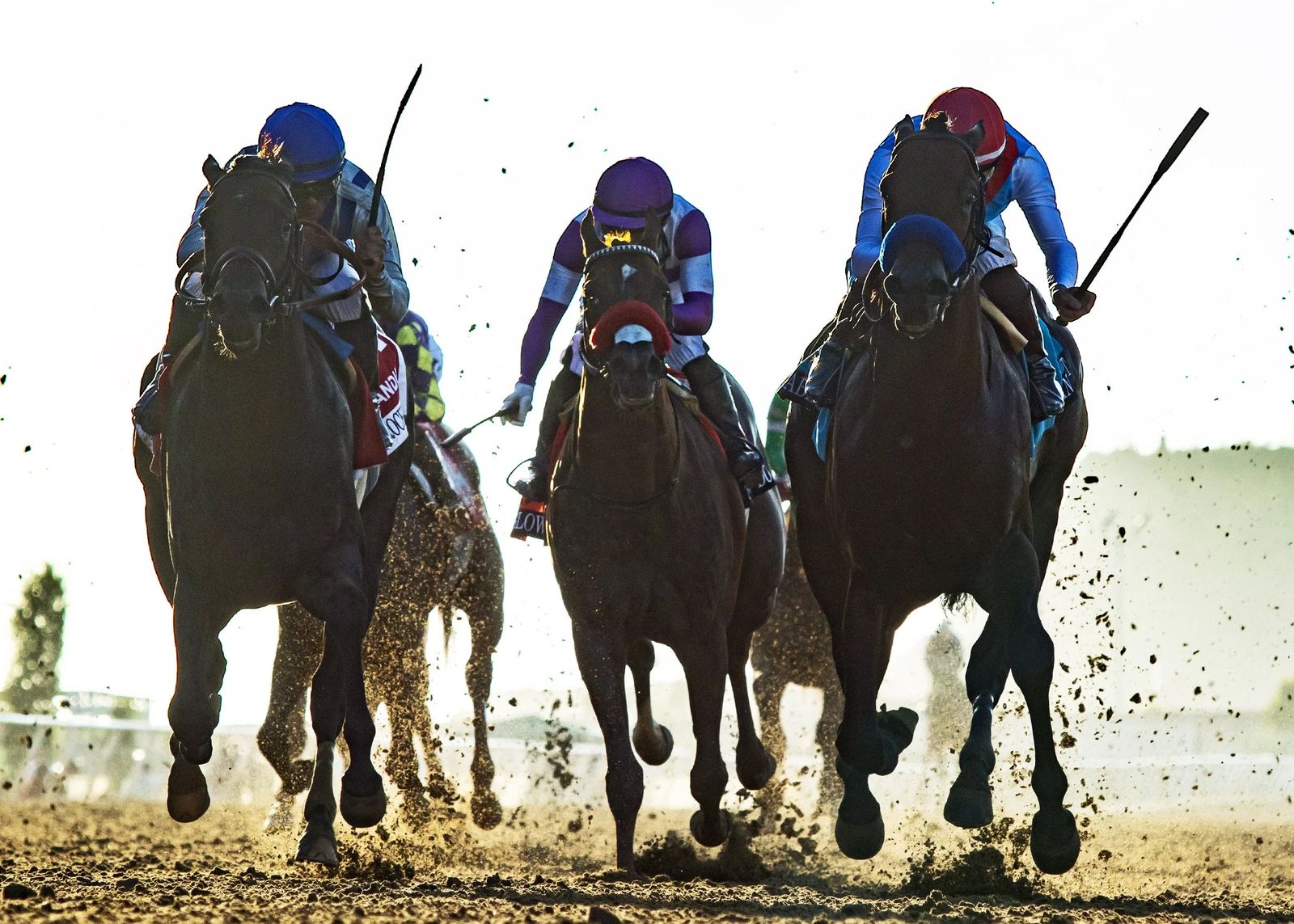 Arabian Knight (right) under Flavien Prat winning the Grade 1 Pacific Classic at Del Mar, September 2, 2023