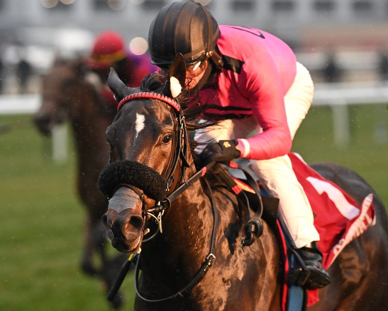 Lou (Sweetlou&rsquo;sgotaces), the dam of Hip 1085, head-on under Joel Rosario winning the Tepin Stakes at Aqueduct, November 27, 2022